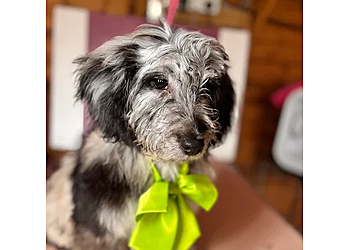 The Only Way Is Grooming