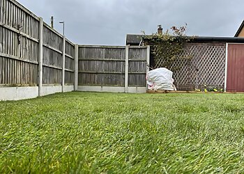 The Painted Gardener