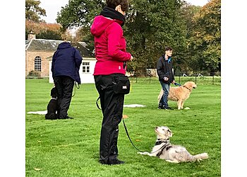 The Perfect Puppy Company