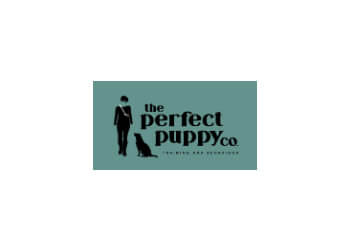 The Perfect Puppy Company
