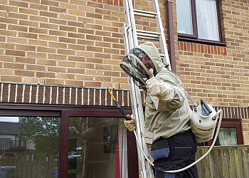 The Pest Detective Environmental Services