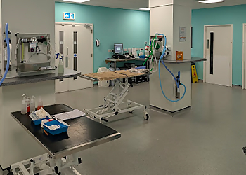 The Pet Vet Portsmouth