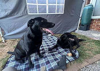 The Pet Vet Southampton