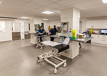 The Pet Vet Southampton