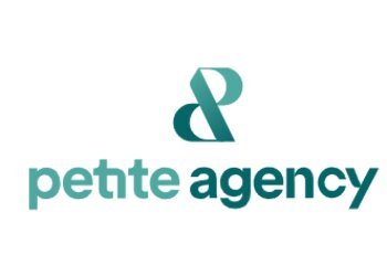 Stockton On Tees marketing agencies The Petite Agency image 1