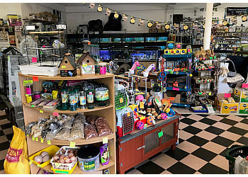 The Petman Stores Ltd.