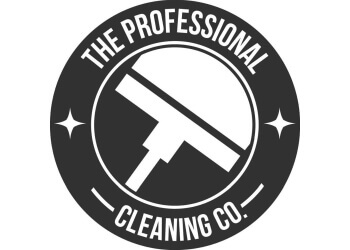 The Professional Cleaning Company