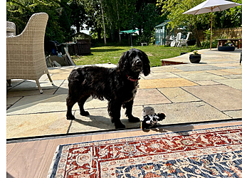 The Salisbury Dog Retreat