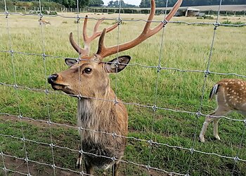 The Scottish Deer Centre & Wildlife Park