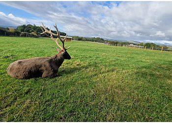 The Scottish Deer Centre & Wildlife Park