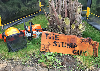 The Stump Guy