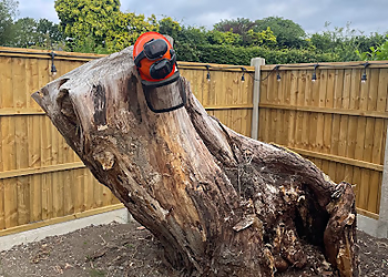The Stump Guy