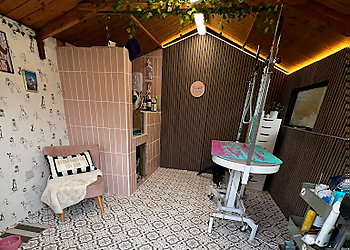 The Surrey Dog Groomer
