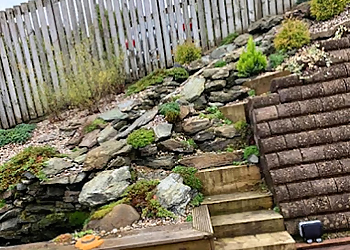 The Tree Doctor Scotland