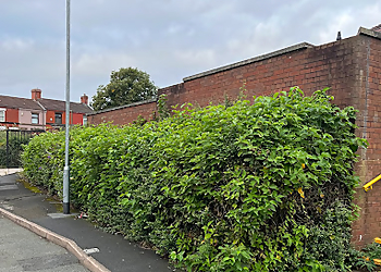 The Tree Felling Group