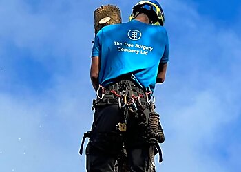 The Tree Surgery Company Ltd.