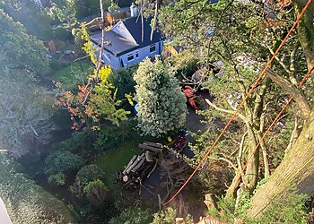 The Tree Surgery Company Ltd.