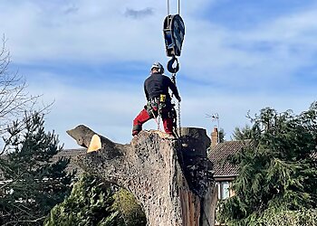 The Tree Walker Arborist Ltd
