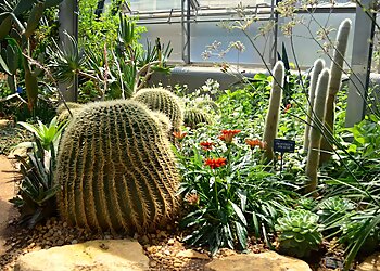 The University of Oxford Botanic Garden