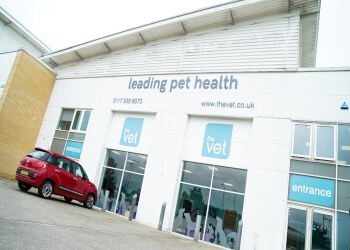 3 Best Vets in Bristol, UK - Expert Recommendations