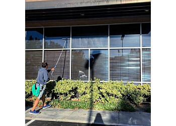 The Window Cleaning Company 