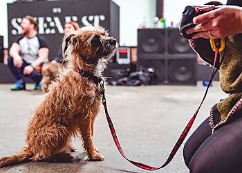 The Woof Pack Dog Training & Behaviour