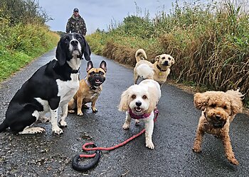 The Woof Pack Dog Walking