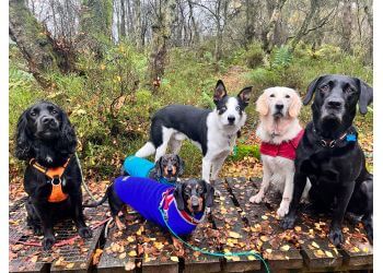 The Woof Pack Dog Walking & Pet Services/Training 