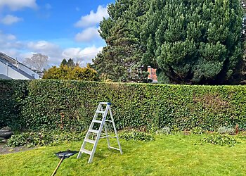 Thistle Garden Maintenance