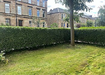 Thistle Garden Maintenance