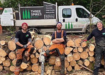 Three Spires Tree Care