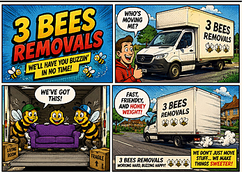 Three Bees Removals