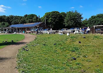 Thrybergh Country Park