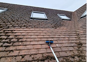 Tidy Exterior Cleaning