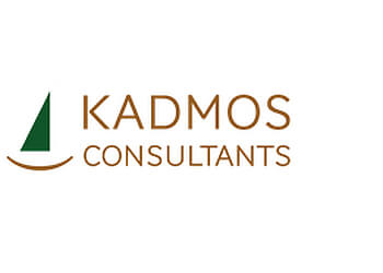 Tim Nikolaev - KADMOS CONSULTANTS