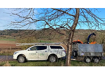 Timber Tree Surgery Ltd.