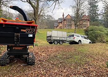 Timber Tree Surgery Ltd.