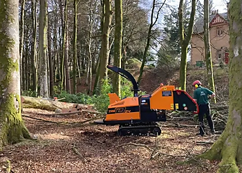 Timber Tree Surgery Ltd. Timber Tree Surgery Ltd.