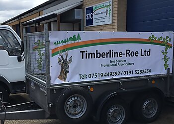 Sunderland tree services Timberline-Roe Ltd image 1