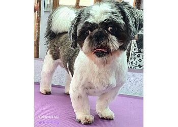 Tinkertails Dog Grooming