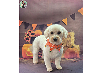 Tinkertails Dog Grooming