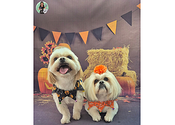 Tinkertails Dog Grooming Tinkertails Dog Grooming