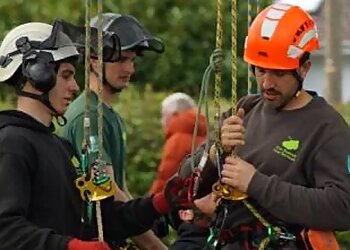 Tom Boswell Tree Services Ltd.