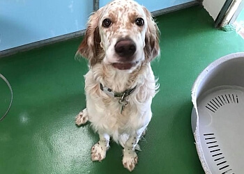 Tomlinsons Boarding Kennels & Canine Centre