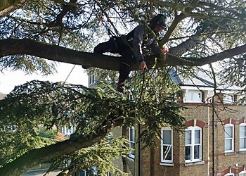 Tommy Clark Tree & Ground Contractors Ltd.