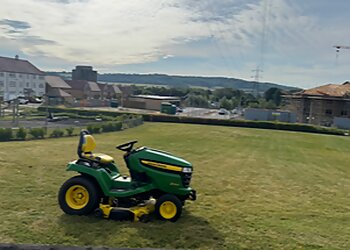 Tommy Clark Tree & Ground Contractors Ltd.