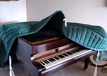 Tony Willis Removals