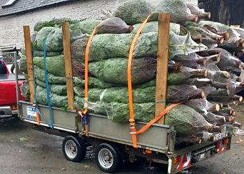 Tonyrefail Grass Cutting Service