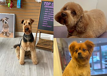 Top Dog Groomers