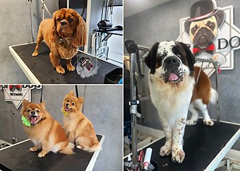 Top Dog Grooming